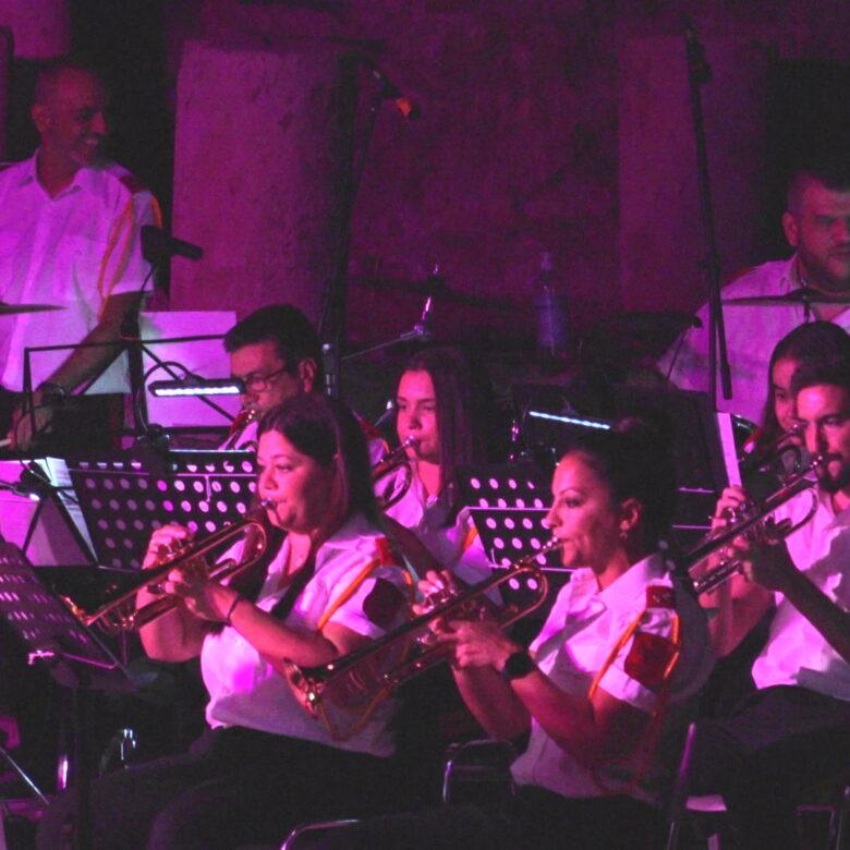 carousel μουσικοί 14