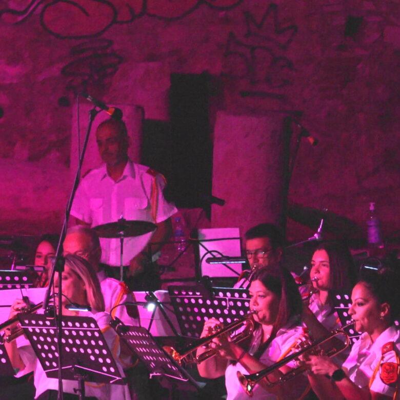 carousel μουσικοί 16