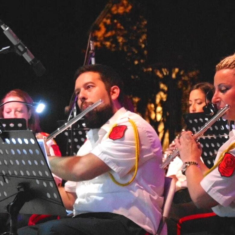 carousel μουσικοί 2