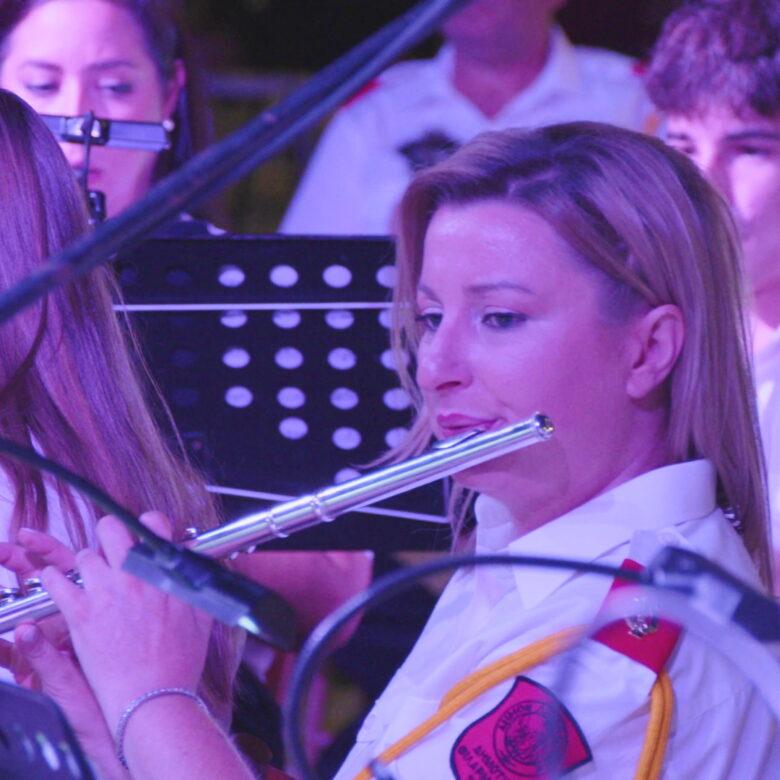 carousel μουσικοί 31