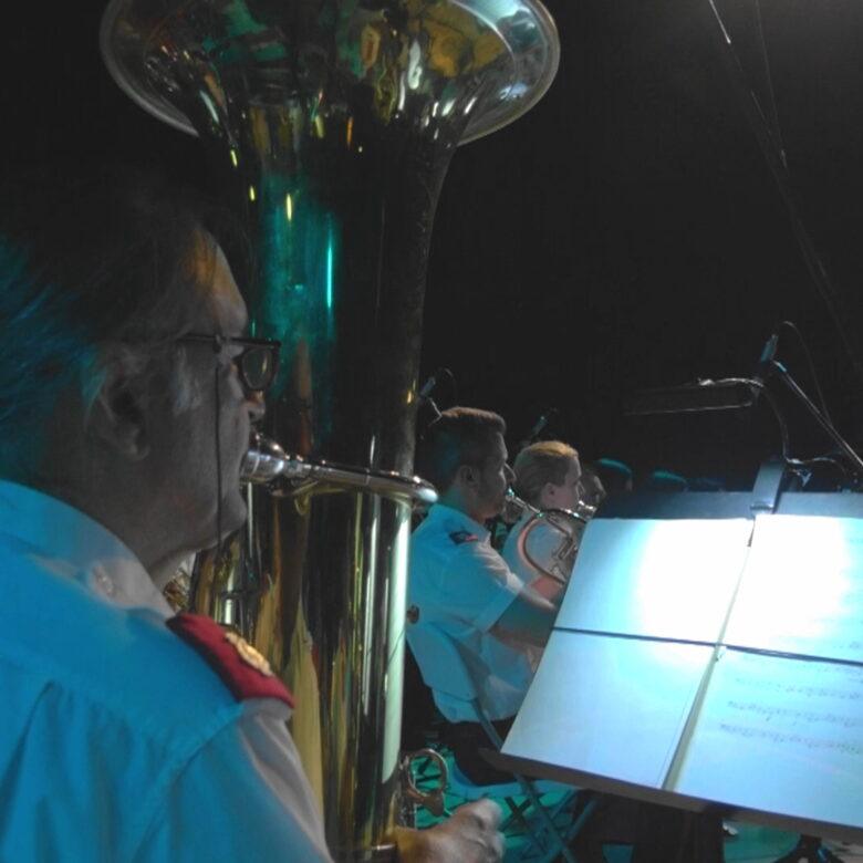 carousel μουσικοί 4