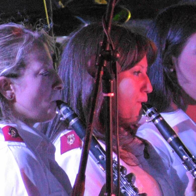 carousel μουσικοί 8